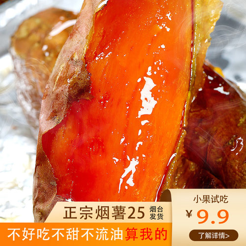 沙地种植烟薯25号烟台发货烤红薯