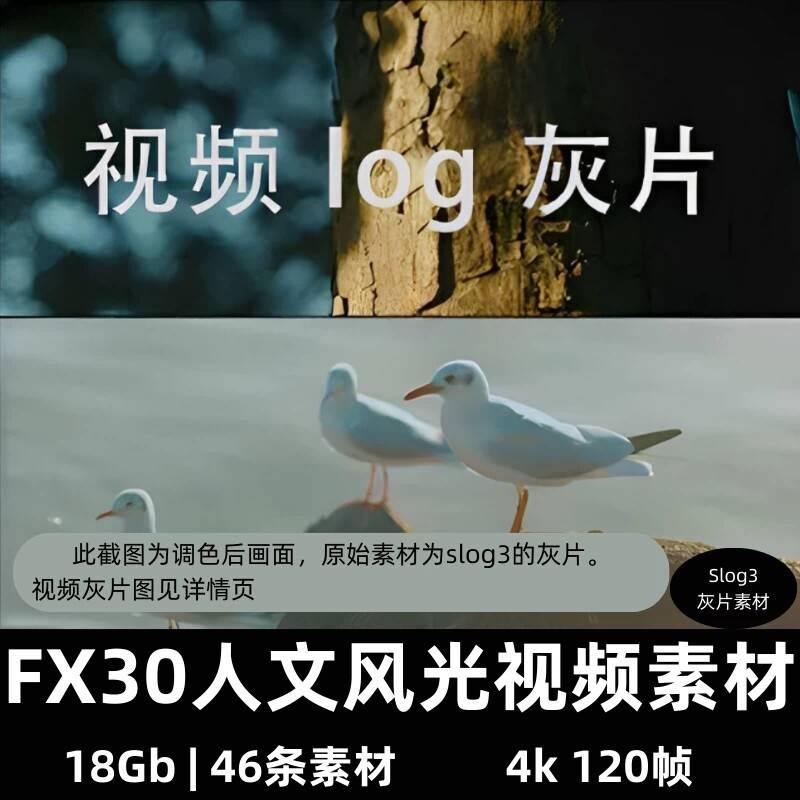 fx30人文风光索尼4k视频pr达芬奇调色练习素材log文件视频灰片a图片