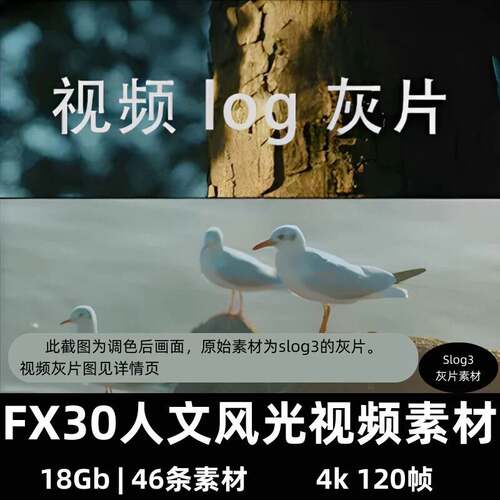 fx30人文风光索尼4k视频pr达芬奇调色练习素材log文件视频灰片a