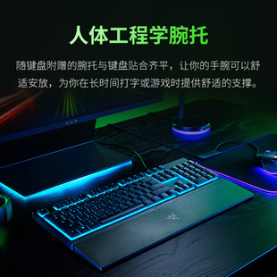 Razer雷蛇雨林狼蛛V3X蝰蛇标准重装 甲虫电竞游戏有线鼠标键盘套装