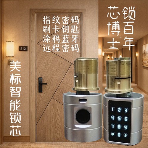 美标智能锁芯指纹密码刷卡蓝牙钥涂鸦假美标按压门智能锁无损替代