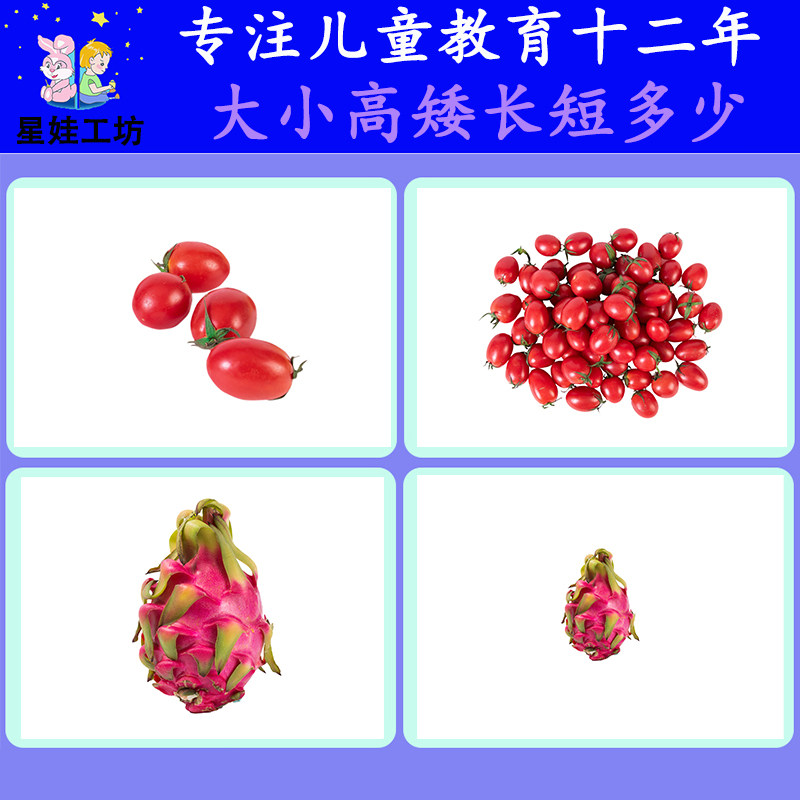 大小高矮长短粗细排序反义词比较认知理解发育迟缓自闭症教学卡片