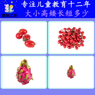 大小高矮长短粗细排序反义词比较认知理解发育迟缓自闭症教学卡片