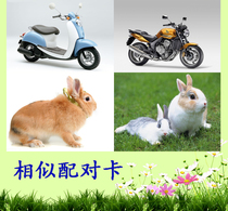 Teaching materials for rehabilitation of children with stunted growth