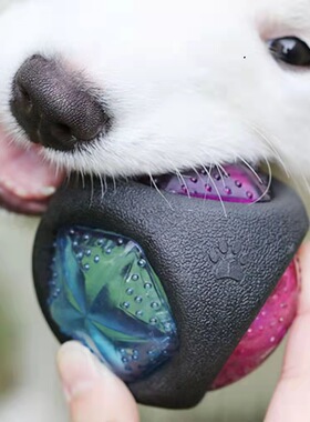 亚马逊爆款狗狗玩具发光发声环保TPR材质耐咬磨牙玩具宠物狗