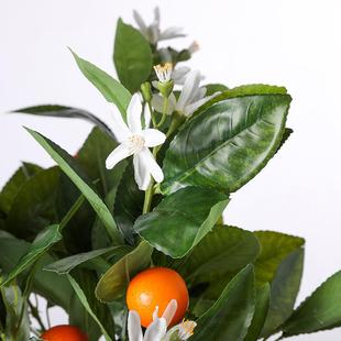 仿真桔子叶 手感橘子叶假树枝家居园林造景装饰仿真桔子树枝配材