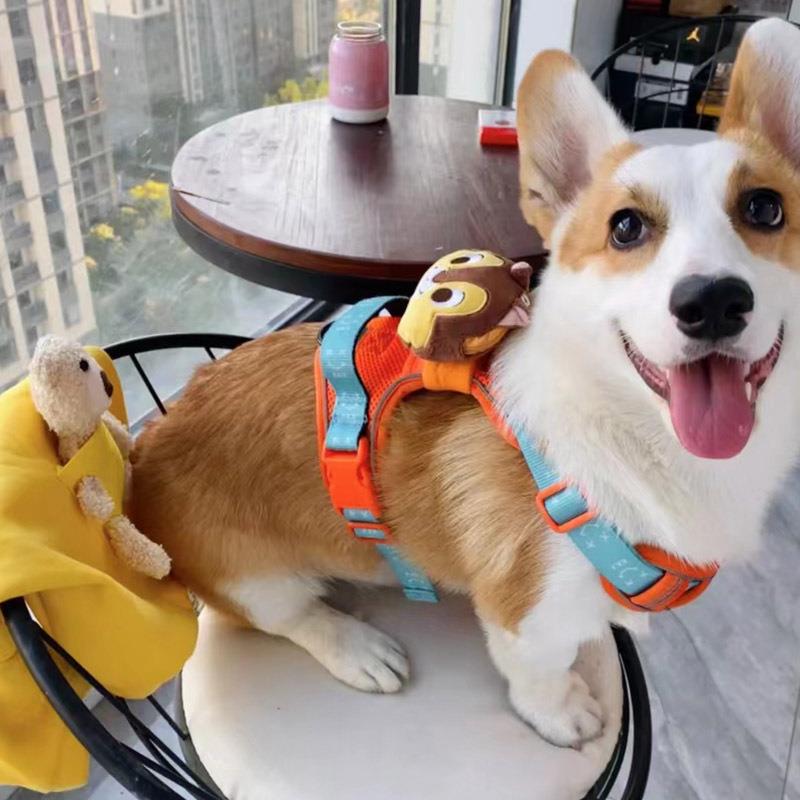 狗狗牵引绳胸背式可伸缩狗背心狗脖圈拉布拉多遛狗链子柴犬胸背带