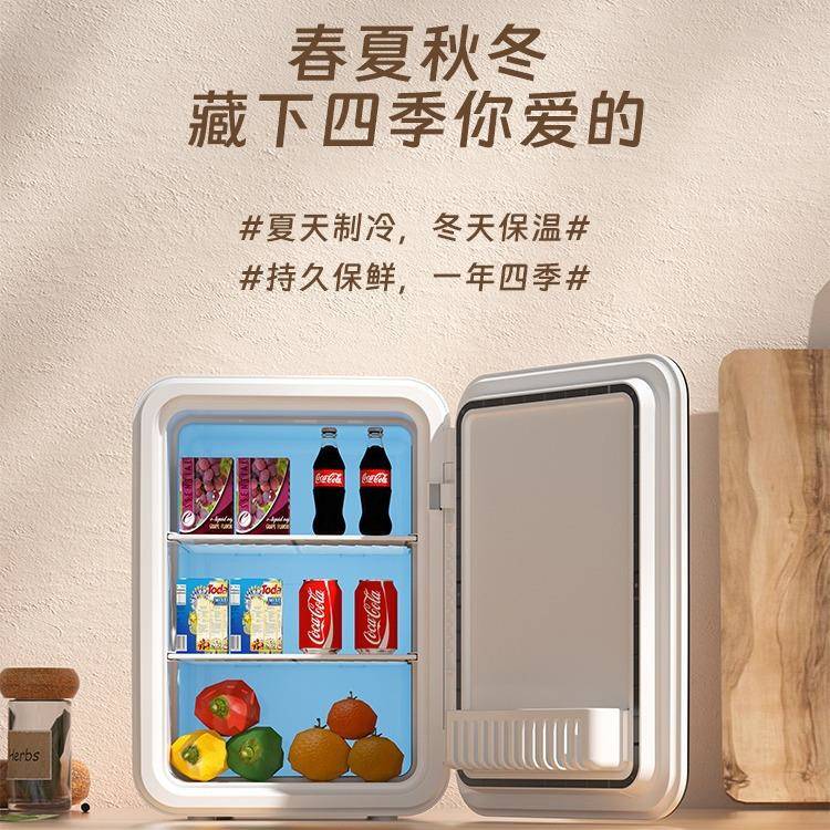 车载小冰箱小型家用宿舍单门制冷车家两用化妆品冷藏迷你小冰箱