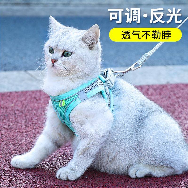 猫咪牵引绳背心式防挣脱外出透气反光宠物牵引胸背中小型犬遛猫绳