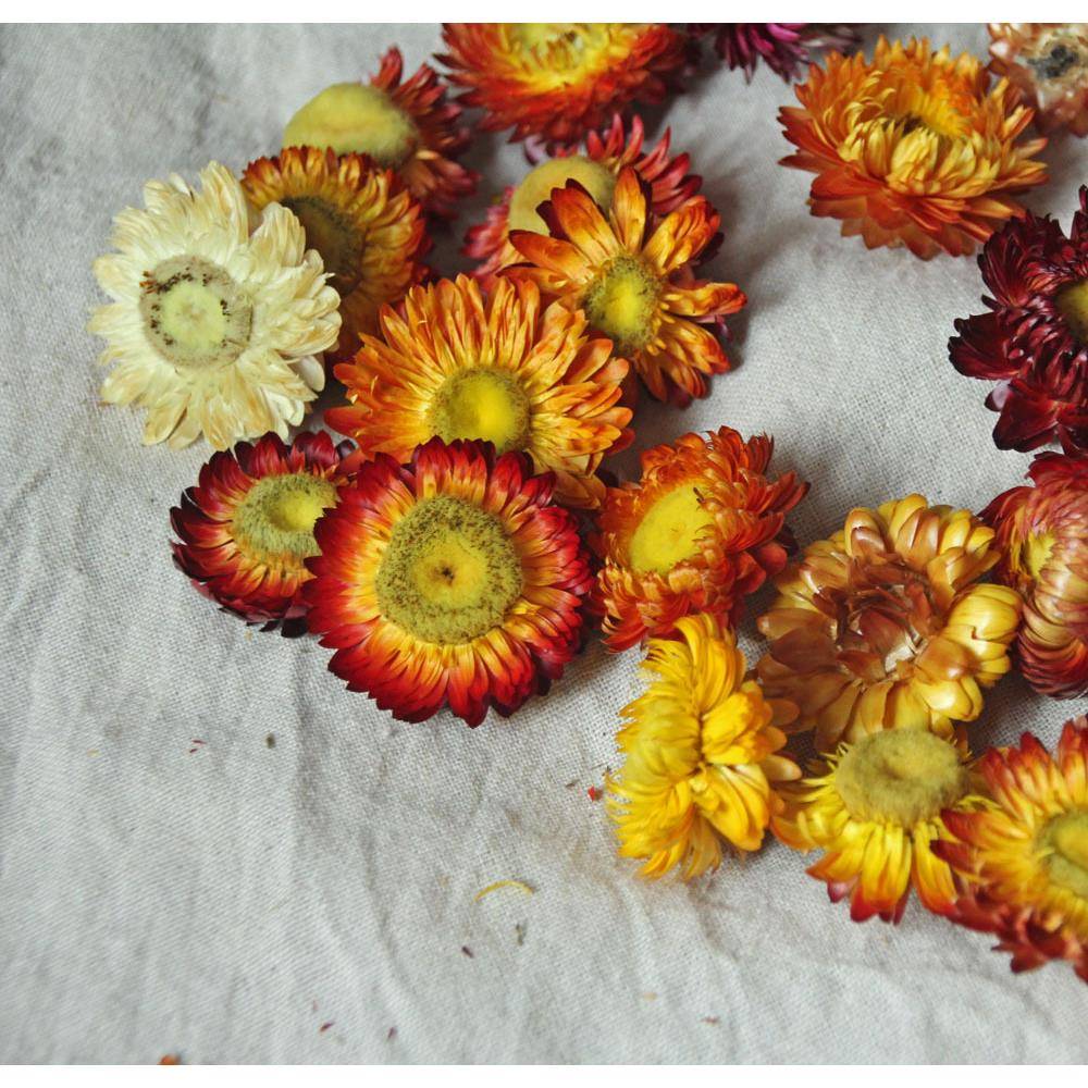 云南干花香薰蜡烛花财七彩菊干燥花麦秆菊花环蜡片装饰家居花