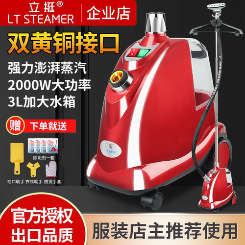 立挺大功率电熨斗家用蒸汽挂烫机