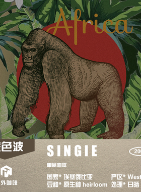 单品-蓝色波 埃塞 日晒处理 浅中烘焙 手冲咖啡 熟豆 200g/袋装