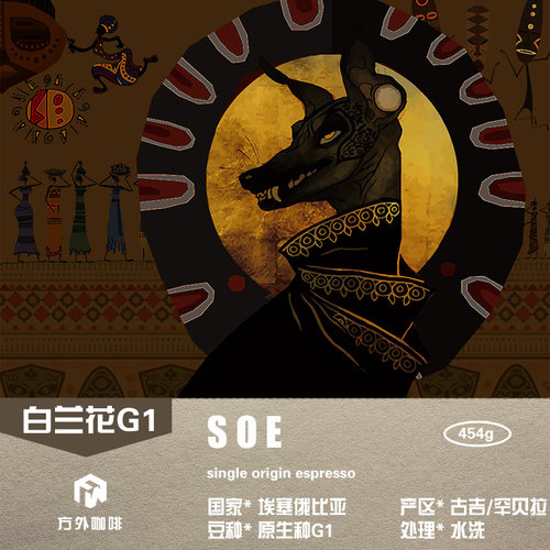 埃塞古吉SOE-水洗浅中烘焙酸甜