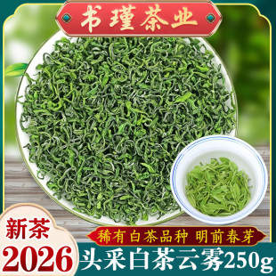 2026明前高山嫩芽绿茶高山白茶日照充足春茶250g罐装 白茶云雾