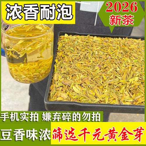 2026年黄金芽碎茶明前高品质500g