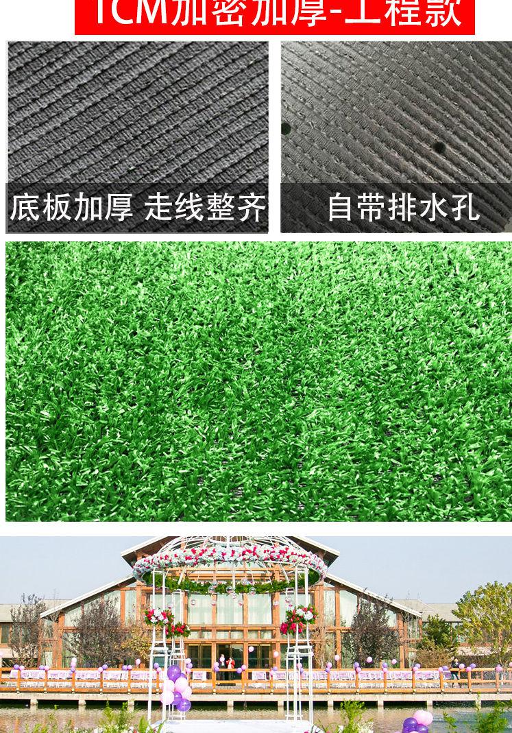 Gum Grass engineering Fence green Lawn seed Man-made Lawn outdoors Grass green simulation Botany Wall hangingsin the Flower delivery/Flowers simulation/Plants gardening , Artificial flowers/Plants/Finished fruits and vegetables (New) , Simulation plants  category - from Buy2taobao.com to provide professional Taobao agent buy service