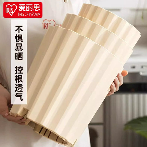 简约室内树脂花盆阳台