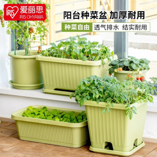 爱丽思花盆长方形塑料大号家庭阳台种菜蔬菜种植盆家用神器爱丽丝