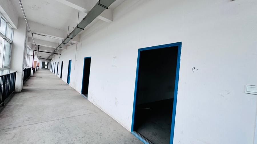 11月23日赣州电缆厂工业房地产及构筑物、机器设备、苗木网络拍卖公告