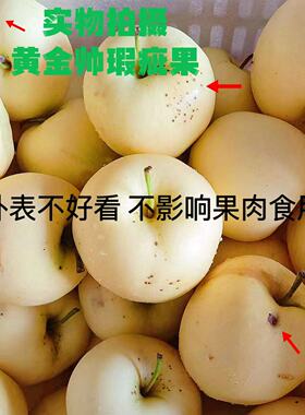 山东烟台新鲜黄金帅元帅黄香蕉瑕疵果刮泥粉面次果5斤10斤包邮