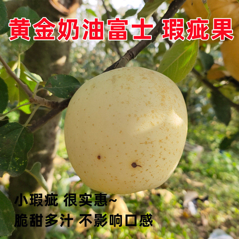 山东烟台奶油富士瑕疵果奶油苹果次果新鲜水果脆甜多汁5斤包邮