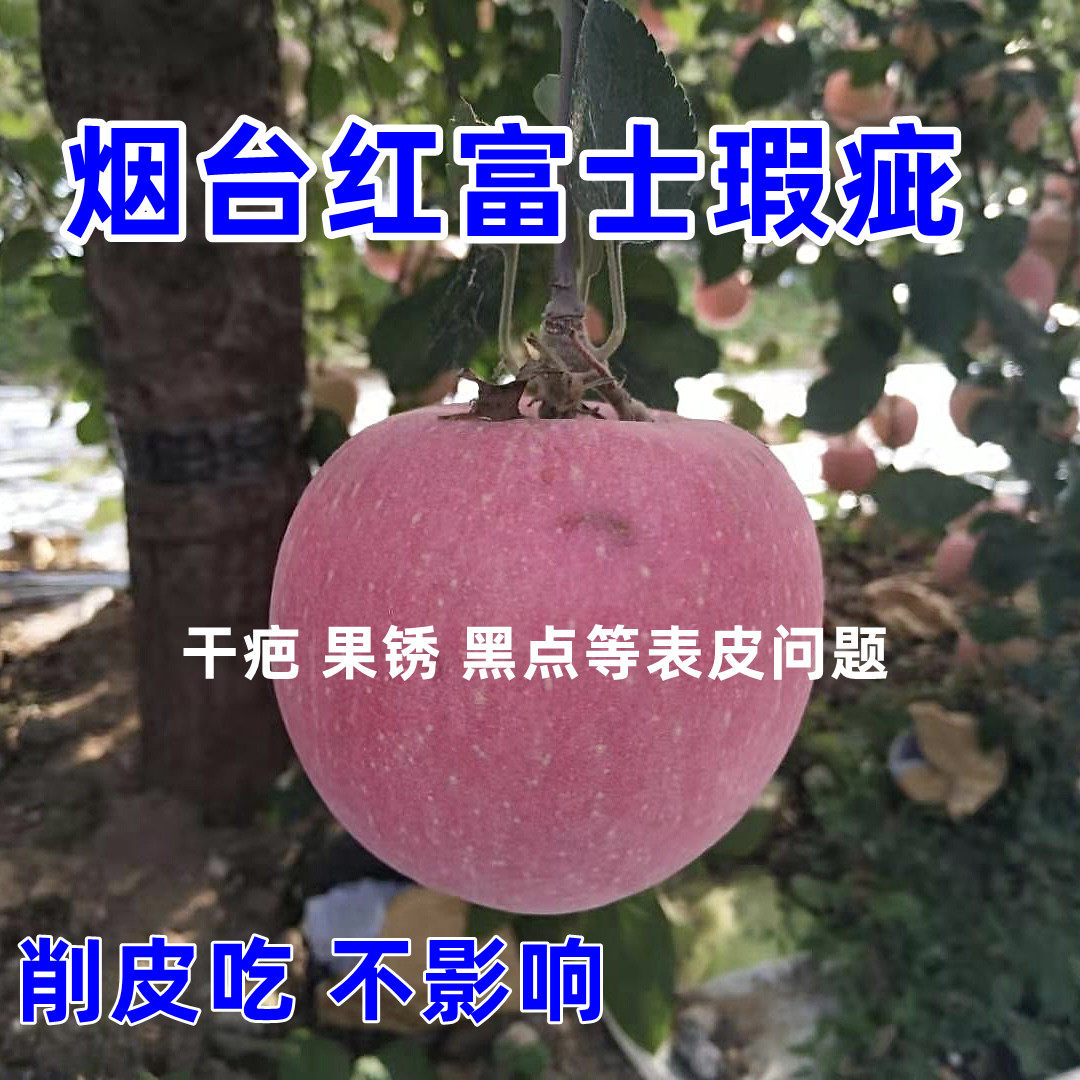 瑕疵红富士山东烟台苹果脆甜多汁新鲜苹果整箱5斤包邮