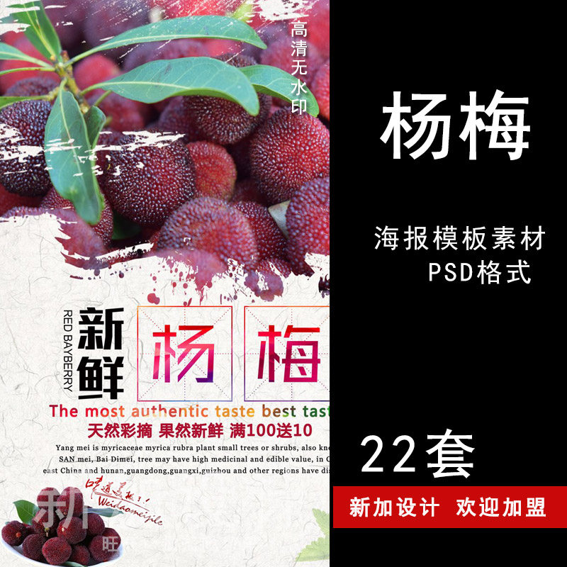 杨梅海报制作psd模板灯箱高清图招贴画册作业宣传单广告设计素材