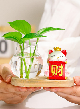 可爱招财猫水养器皿花瓶创意摆件办公室桌面装饰送朋友闺蜜小礼品