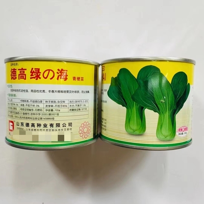 德高绿海青梗菜种子杂交速生翠绿上海青四季播种青菜种籽抗病高产
