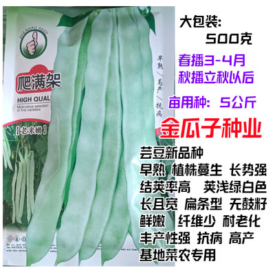 爬满架芸豆种子老来嫩架豆角籽早熟高产耐老化阳台田园四季春秋播