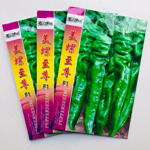 香辣螺线辣椒种子香辣金域美螺至尊螺丝椒辣椒种子高产螺丝椒种籽