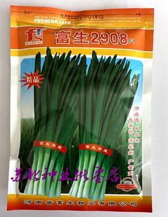 2909 不休眠高产抗病宽叶荣耀韭 2908韭菜种子抗寒耐高温冬季