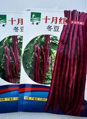 十月红冬豆角种子紫色白色豆角高产豇豆秋红庭院大棚秋冬蔬菜种籽