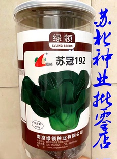 苏冠192杂交种259矮棵青梗菜种籽高产耐热夏季 播耐水油亮青菜 四季