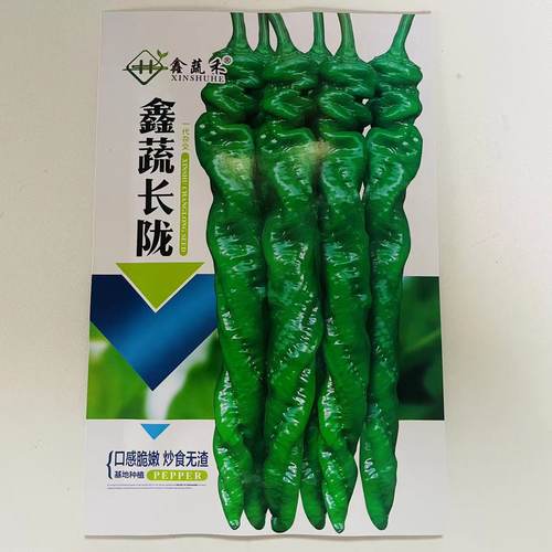 鑫蔬长陇辣椒种子早熟中大果陇椒种籽味香辣全螺旋中薄皮春秋播种