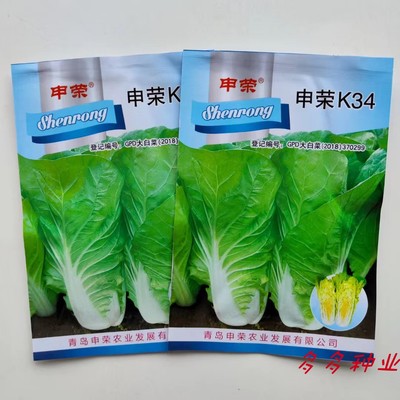 K34快菜种子早熟速生油亮小白菜种籽黄心无茸毛春夏秋播高产
