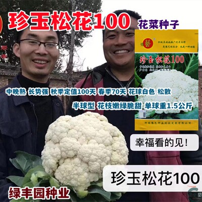 珍玉松花100花菜种子 美白大球高产抗病商品性佳 农家春秋播精选