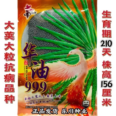 华油999油菜种子杂交甘蓝型