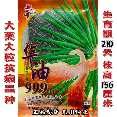 华油999油菜种子杂交甘蓝型