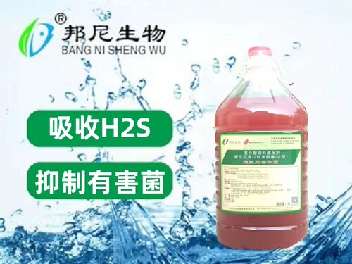 超浓光合细菌吸收H2S抑制有害菌龙虾鱼虾蟹海蟹青蟹水产养殖专用