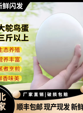 顺丰京东包邮超大鸵鸟蛋食用新鲜美味端午节中秋节过年送礼送礼盒