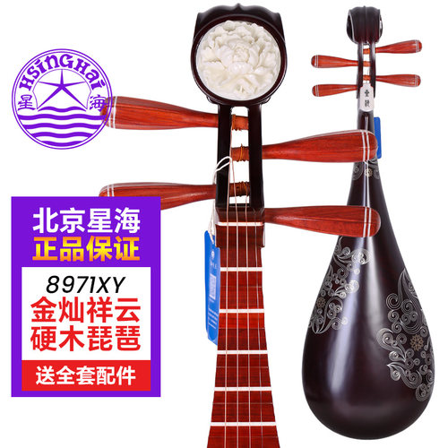 北京星海成人琵琶乐器8971XY初学者硬木琵琶金灿祥云自学练习考级