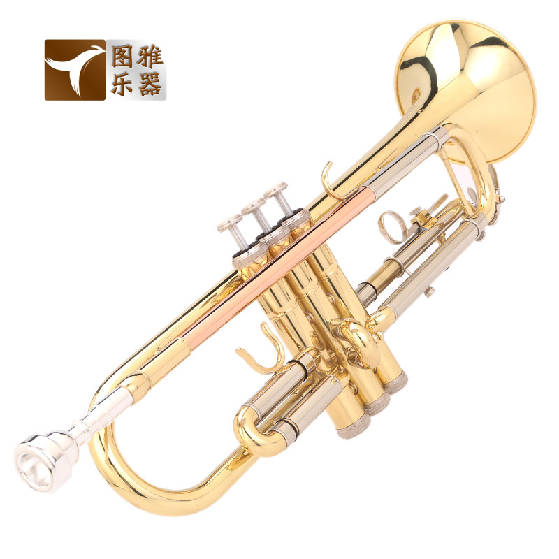 西洋铜管乐器乐队演奏中音降B调小号乐器FTR-700初学入门练习包邮
