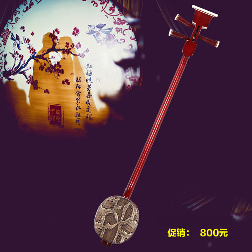 梵巢中三弦乐器赠全套配件