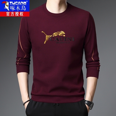 2025新款卫衣男士纯色打底衫春秋长袖T恤圆领青年薄款双面绒T恤潮