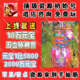 天龙八部手游BT版0.1折国际服开局送10W元宝五血脉神兽安卓苹果