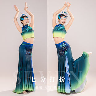 租傣族盛装傣灵舞蹈服出租56个少数民族演出服渐变色傣族艺考服饰