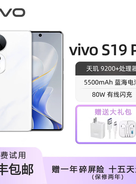 vivo S19 Pro 索尼双5000万全焦段人像 抗水抗摔长续航 拍照手机