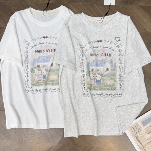 现货韩代款东大门夏季moment复古卡通宽松圆领薄棉短袖t恤松弛感t