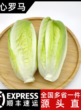 云南新鲜包心罗马生菜黄心嫩罗纹凯撒生菜西餐食材清洗即食沙拉菜